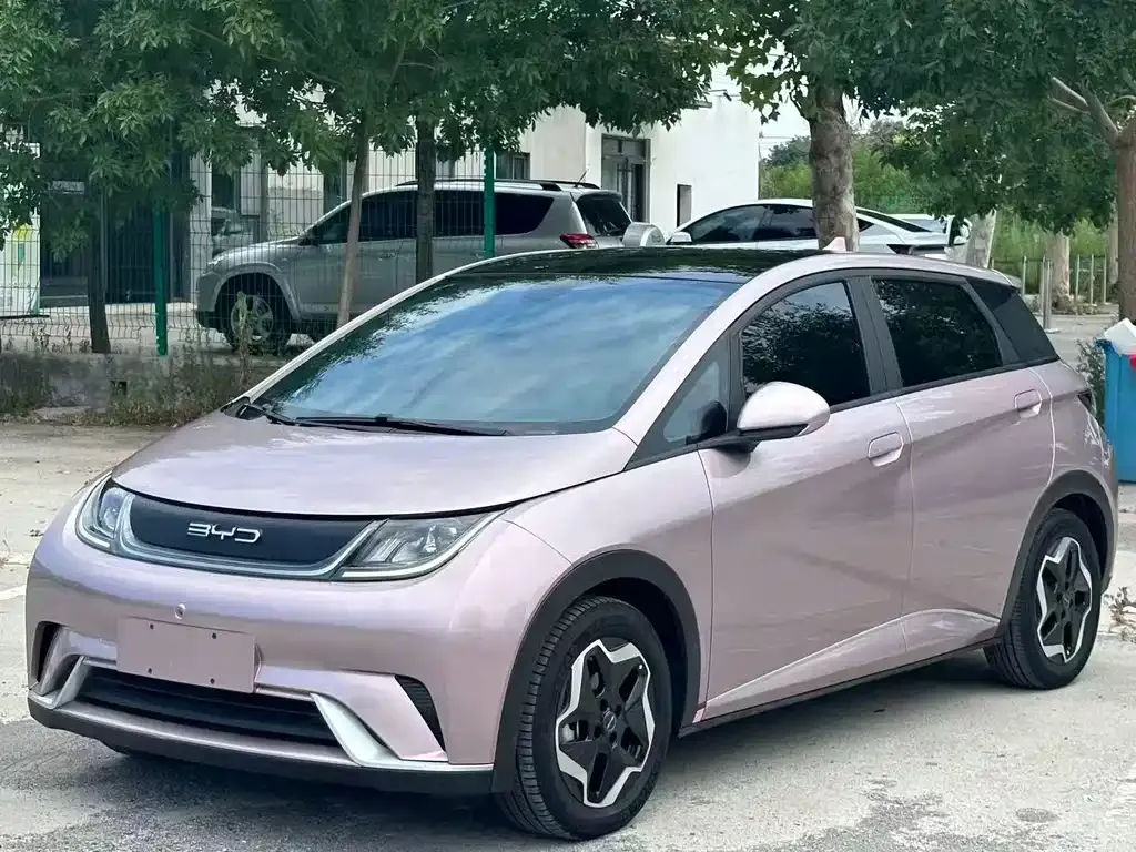 2023 BYD Dolphin 420km Fashion