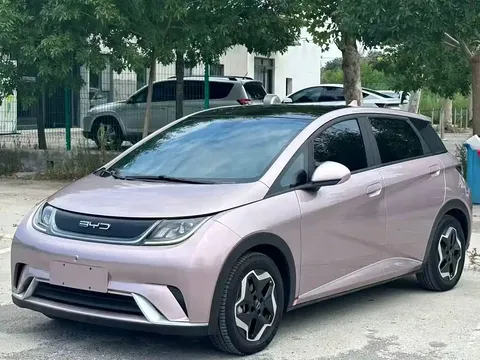 2023 BYD Dolphin 420km Fashion