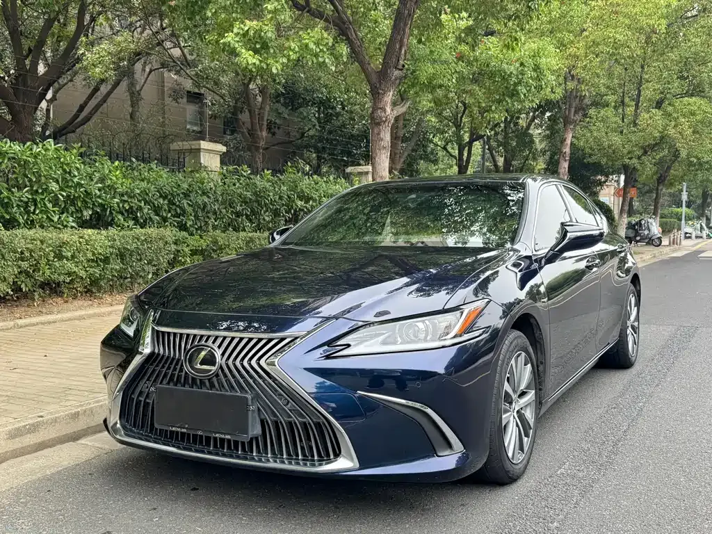 2020 Lexus ES 200 Excellence