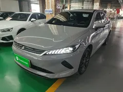 2025 BYD Qin PLUS EV 510KM Smart Driving Advance — фото 1