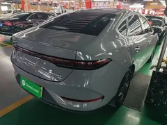 2025 BYD Qin PLUS EV 510KM Smart Driving Advance — фото 7