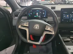 2025 BYD Qin PLUS EV 510KM Smart Driving Advance — фото 11