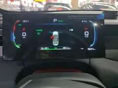 2025 BYD Qin PLUS EV 510KM Smart Driving Advance — фото 12