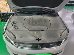 2025 BYD Qin PLUS EV 510KM Smart Driving Advance — фото 20