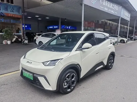 2025 BYD Seagull 305km Freedom