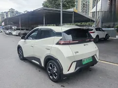 2025 BYD Seagull 305km Freedom, белый — фото 16