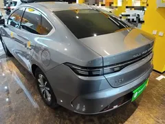 2023 BYD Destroyer 05 Champion DM-i PHEV 55km Luxury — фото 5