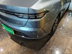 2023 BYD Destroyer 05 Champion DM-i PHEV 55km Luxury — фото 8