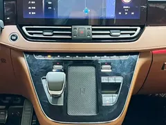 2023 Hongqi HQ9 2.0T, чёрный — фото 11