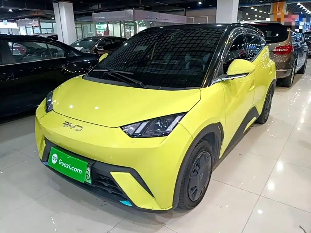 2024 BYD Seagull Honor 305km Vitality