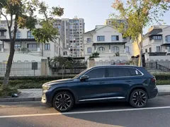 2021 Geely Monjaro 2.0TD DCT EVO 2WD Premium, зелёный — фото 2