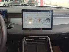 2025 BYD Qin PLUS DM-i PHEV Smart Driving 55km Leading, белый — фото 13