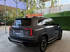 2022 Haval Dargo 2.0T DCT 4WD Chinese Rural Dog Edition — фото 4