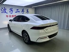2024 BYD Qin PLUS Honor DM-i PHEV 55km Leading, белый — фото 18