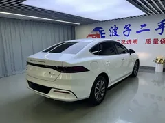 2024 BYD Qin PLUS Honor DM-i PHEV 55km Leading, белый — фото 20