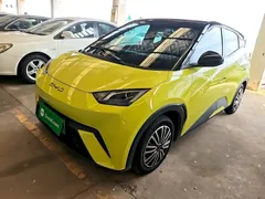 2023 BYD Seagull Vitality, зелёный — фото 2