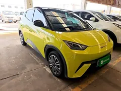 2023 BYD Seagull Vitality, зелёный — фото 4