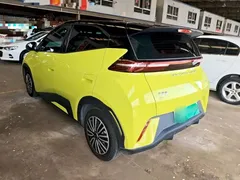 2023 BYD Seagull Vitality, зелёный — фото 5