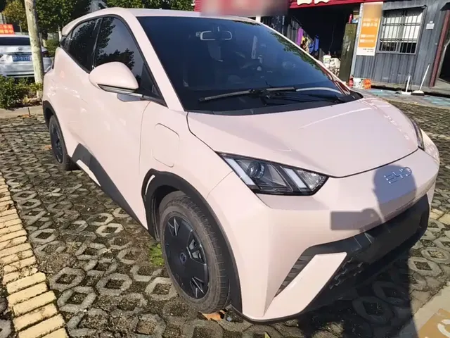 2024 BYD Seagull Honor 305km Vitality