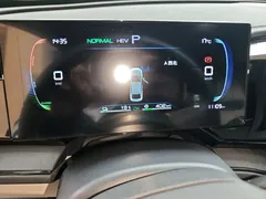 2024 BYD Qin PLUS Honor DM-i PHEV 55km Leading — фото 12