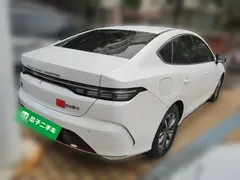 2023 BYD Destroyer 05 Champion DM-i PHEV 55km Luxury, белый — фото 6