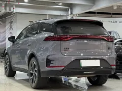 2025 BYD Tang DM-i PHEV 115km Premium — фото 15