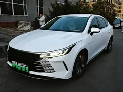 2024 BYD Destroyer 05 DM-i PHEV 55km Luxury, белый — фото 1