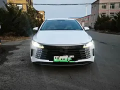 2024 BYD Destroyer 05 DM-i PHEV 55km Luxury, белый — фото 3