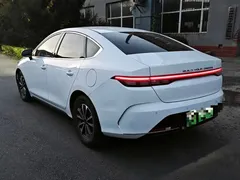2024 BYD Destroyer 05 DM-i PHEV 55km Luxury, белый — фото 9