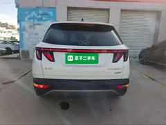 2022 Hyundai Tucson L 2.0L Hybrid Premium, белый — фото 4