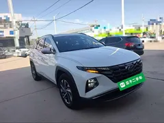2022 Hyundai Tucson L 2.0L Hybrid Premium, белый — фото 22