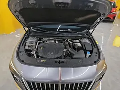 2023 Hongqi H5 2.0T AT Smart Connect — фото 20