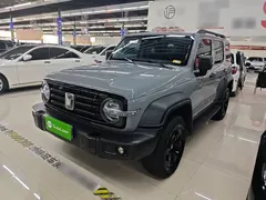 2021 Tank 300 Off-road 2.0T Conqueror — фото 1