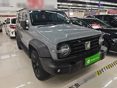 2021 Tank 300 Off-road 2.0T Conqueror — фото 4