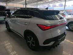 2022 BYD Yuan PLUS 510km Premium, белый — фото 5
