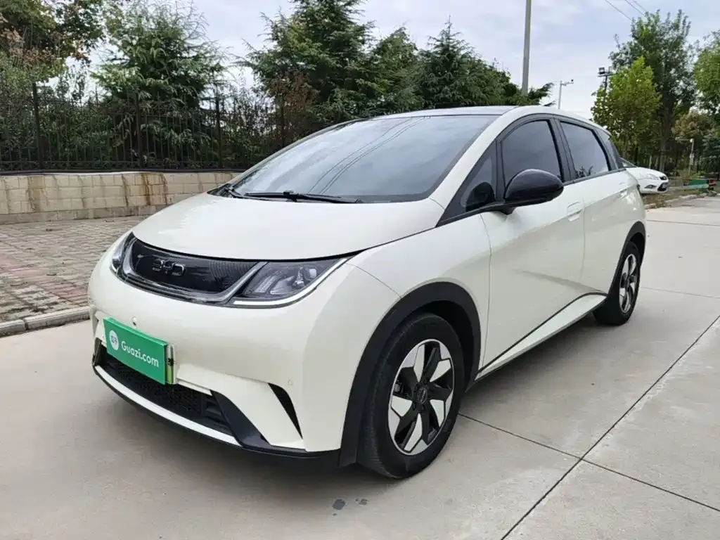 2025 BYD Dolphin 420km Fashion