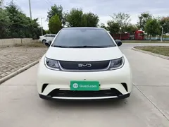 2025 BYD Dolphin 420km Fashion — фото 3
