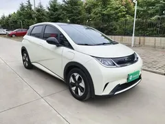 2025 BYD Dolphin 420km Fashion — фото 4