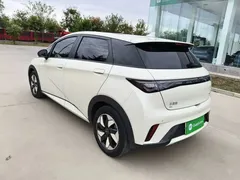 2025 BYD Dolphin 420km Fashion — фото 5