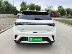 2025 BYD Dolphin 420km Fashion — фото 6