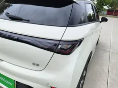 2025 BYD Dolphin 420km Fashion — фото 8