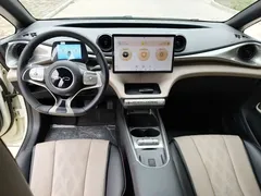 2025 BYD Dolphin 420km Fashion — фото 10