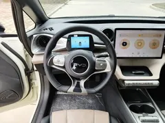 2025 BYD Dolphin 420km Fashion — фото 11