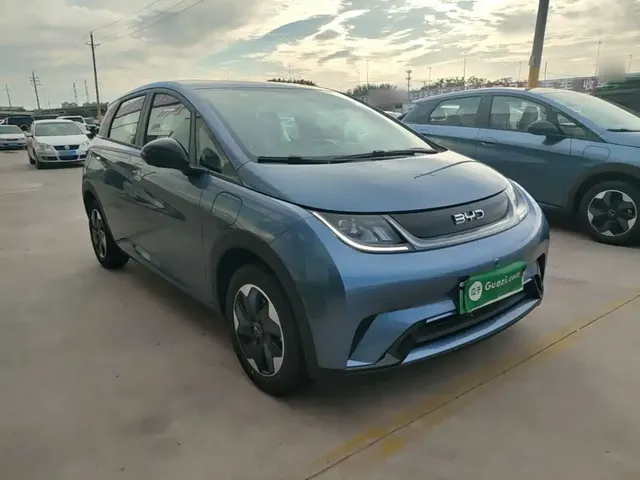 2025 BYD Dolphin 420km Freedom