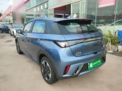 2025 BYD Dolphin 420km Freedom — фото 5