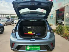 2025 BYD Dolphin 420km Freedom — фото 19
