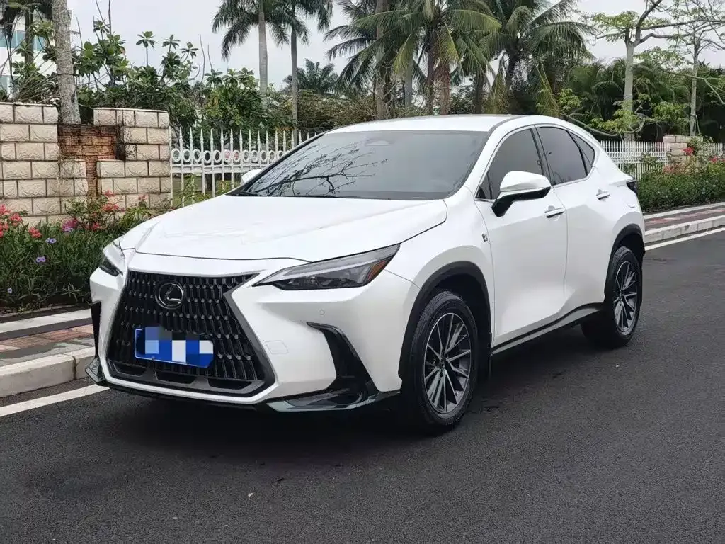 2022 Lexus NX 260 2WD