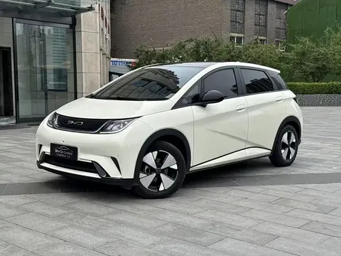2023 BYD Dolphin 420km Fashion