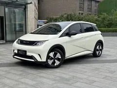 2023 BYD Dolphin 420km Fashion — фото 1