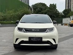 2023 BYD Dolphin 420km Fashion — фото 2
